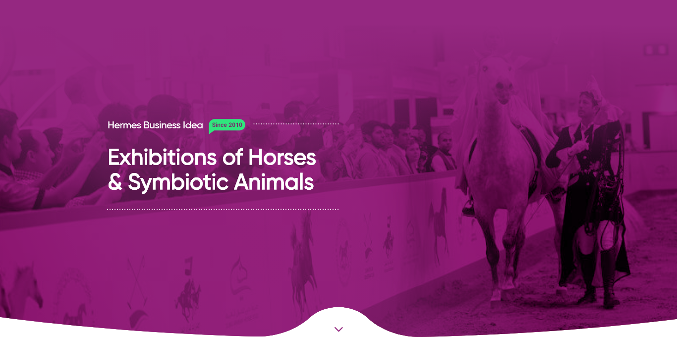 Hermes Business Idea- exhibitions of horses and symbiotic animals