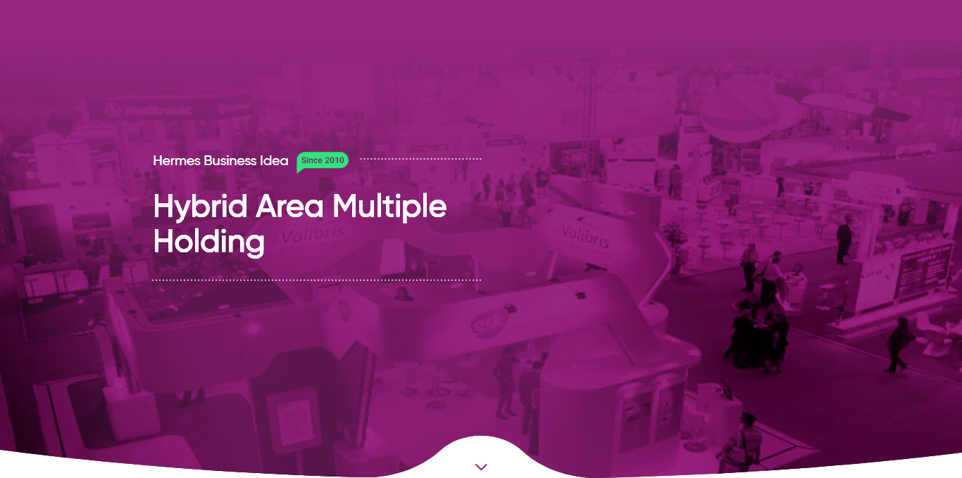 Hermes Business Idea- hybrid area multiple holding